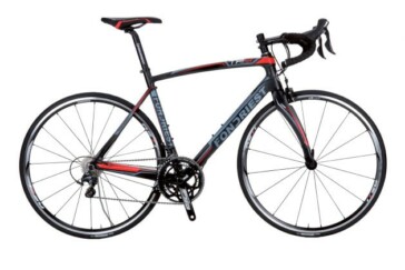 Sturdy chain stays retain the bridge despite direct mount brakes.