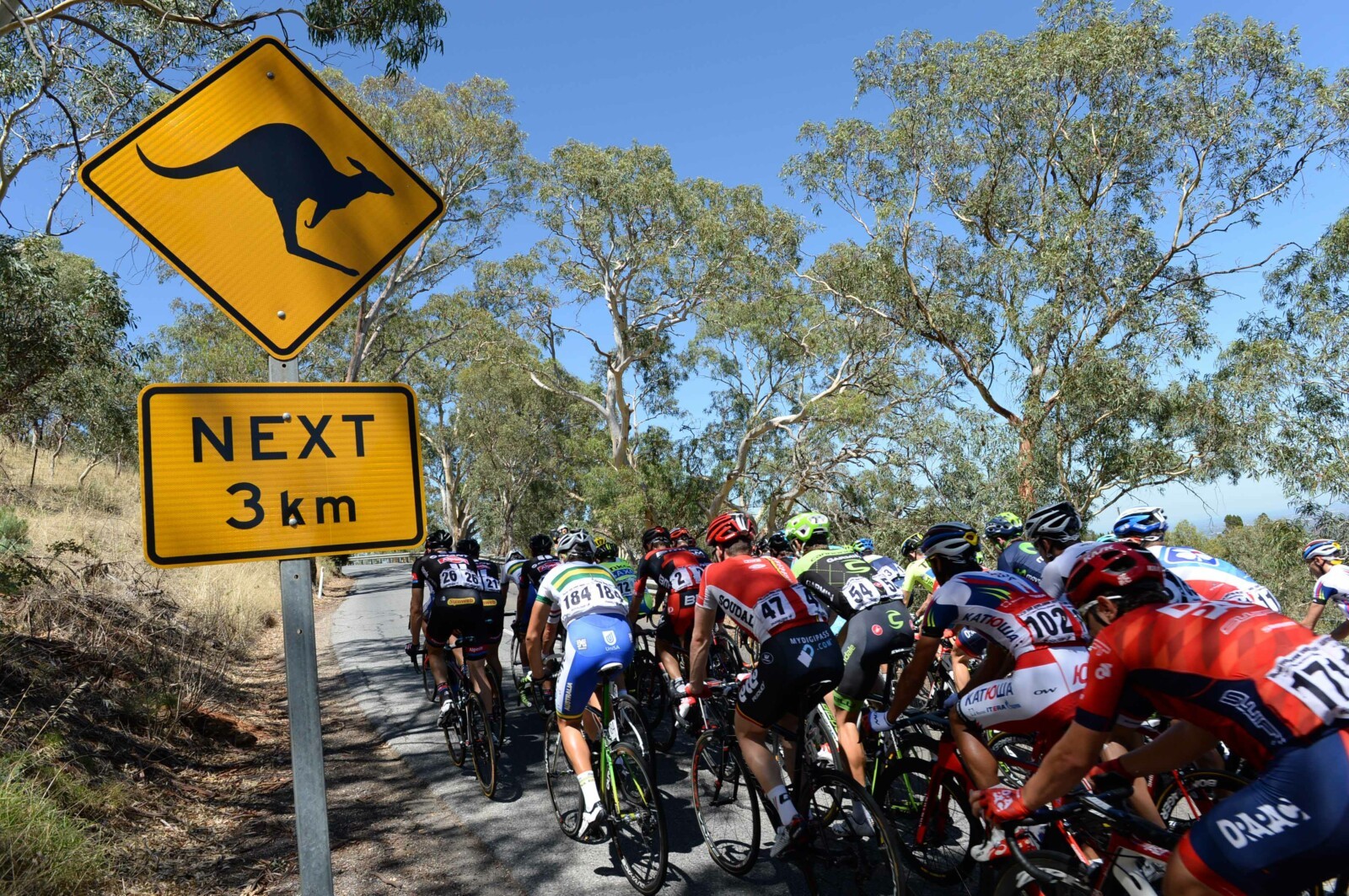 <p>Stage 3 of the Santos Tour Down Under. <strong>Image by Sirotti.</strong></p>