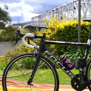 A shimano centrelock rotor.