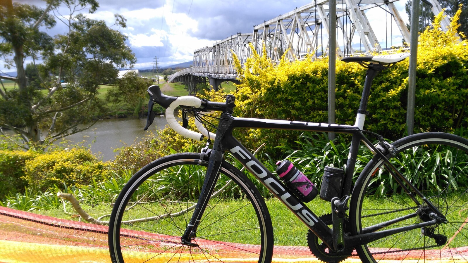 A shimano centrelock rotor.