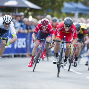 Collecting there Carbohydrates