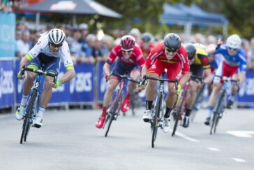 Collecting there Carbohydrates