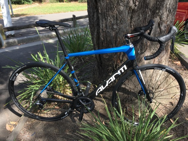 avanti vuelta road bike