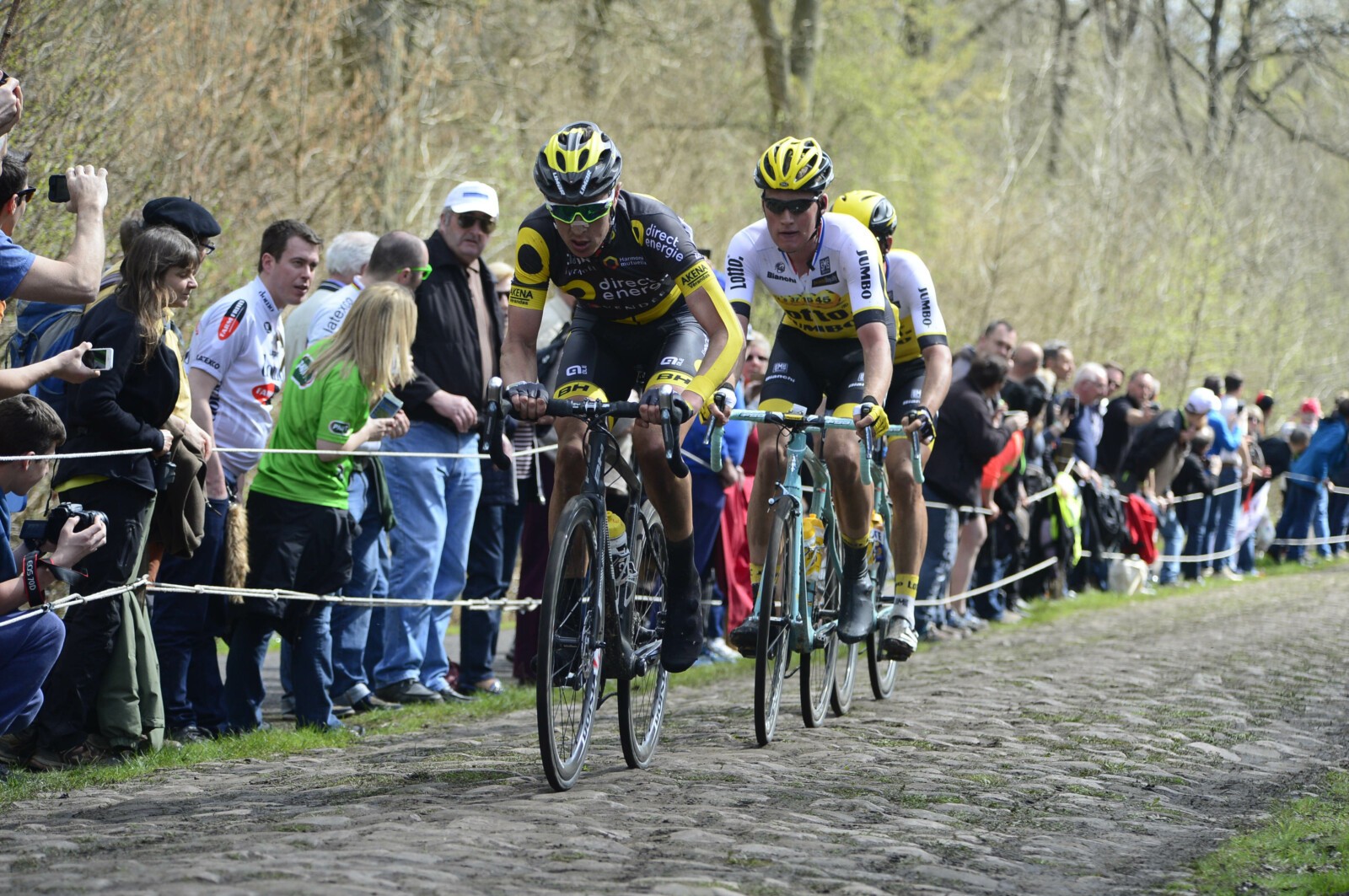 Flat mount disc calipers provide extra rigidity and better heat management.