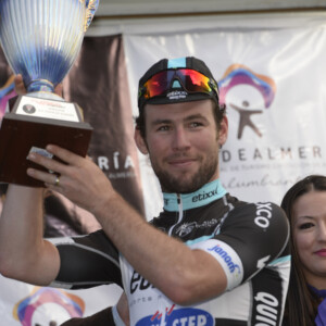 Flat mount disc calipers provide extra rigidity and better heat management.