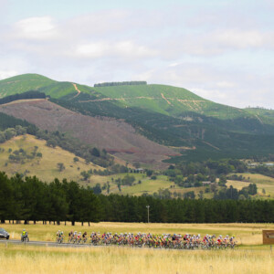 Saturday's Tawonga Gap climb profile.