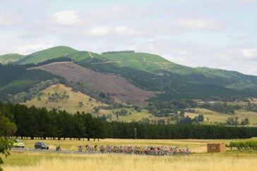 Saturday's Tawonga Gap climb profile.