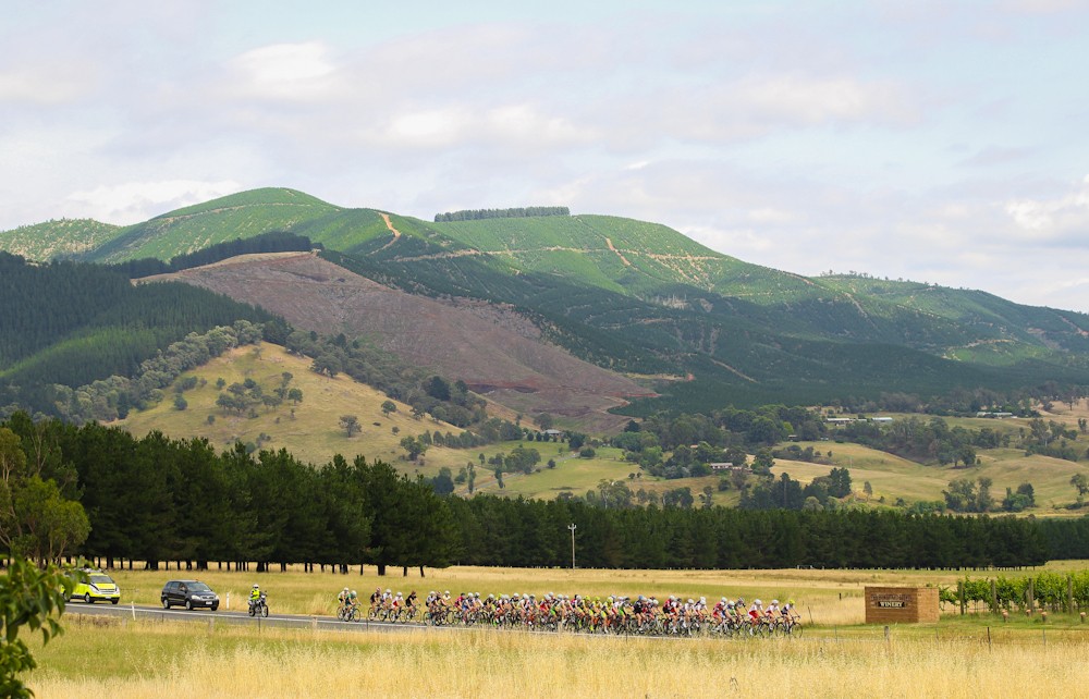 Saturday's Tawonga Gap climb profile.