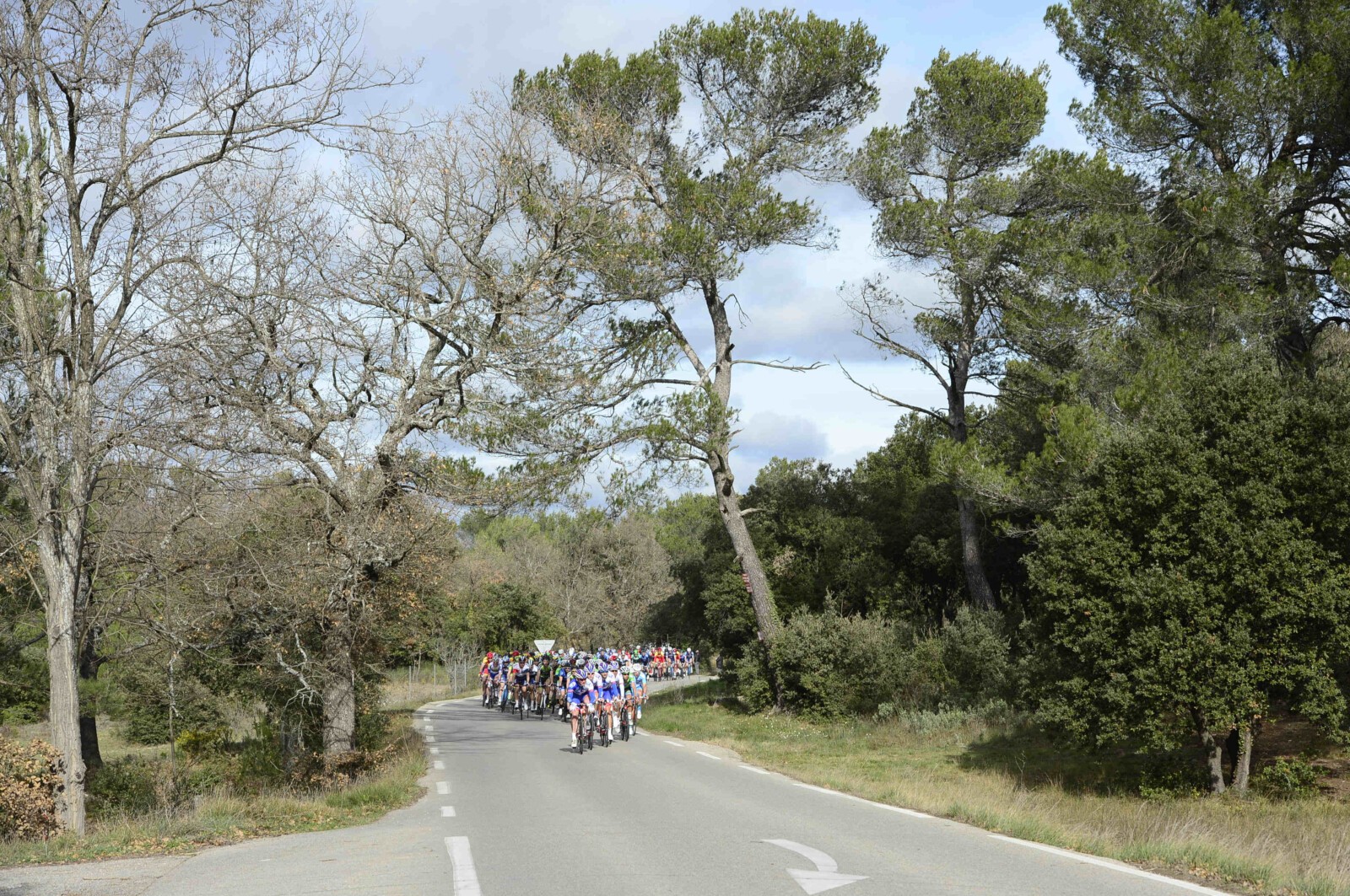 The latest range of Liv apparel is stylish and comfortable.