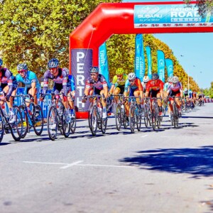 Wild sheep are not hard to dodge on the gruellingly steep climb from Astern to the Mynd.