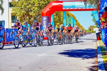 Wild sheep are not hard to dodge on the gruellingly steep climb from Astern to the Mynd.