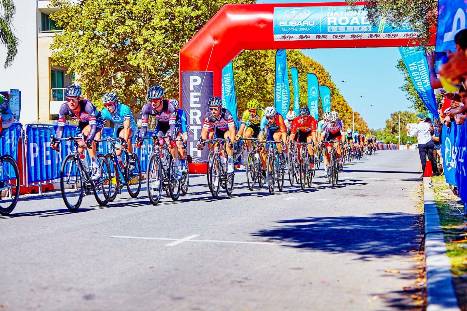 Wild sheep are not hard to dodge on the gruellingly steep climb from Astern to the Mynd.