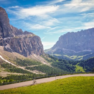 FSA's compact drop bars are very popular for a reason. All hand positions are easy to access, ideal for long days in the saddle.