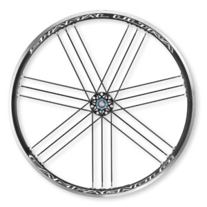 Wild sheep are not hard to dodge on the gruellingly steep climb from Astern to the Mynd.