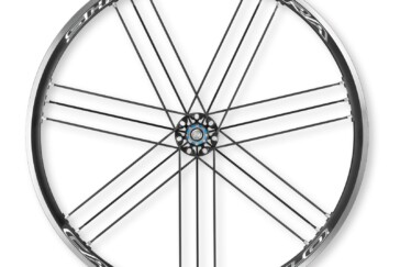 Wild sheep are not hard to dodge on the gruellingly steep climb from Astern to the Mynd.