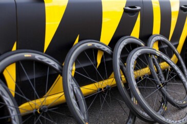 Wild sheep are not hard to dodge on the gruellingly steep climb from Astern to the Mynd.