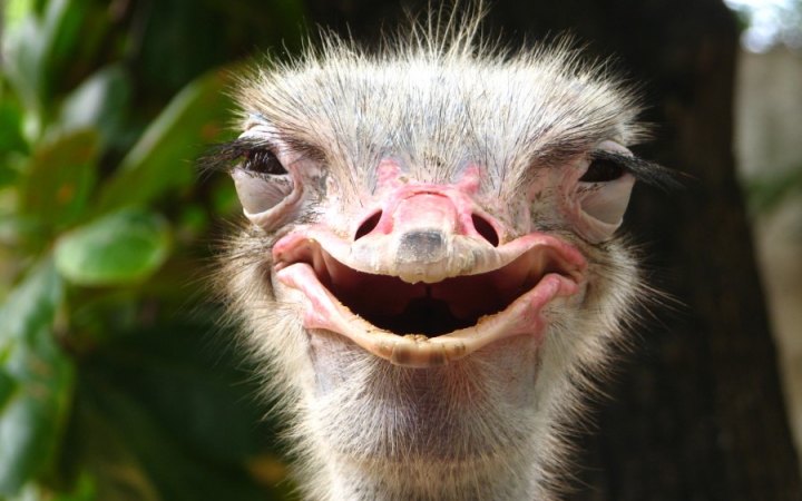 The new Road Plus tyre from WTB.