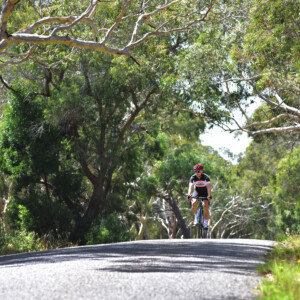Lots going on here! Zerts, discs, wires. Specialised brings it all together cleanly.