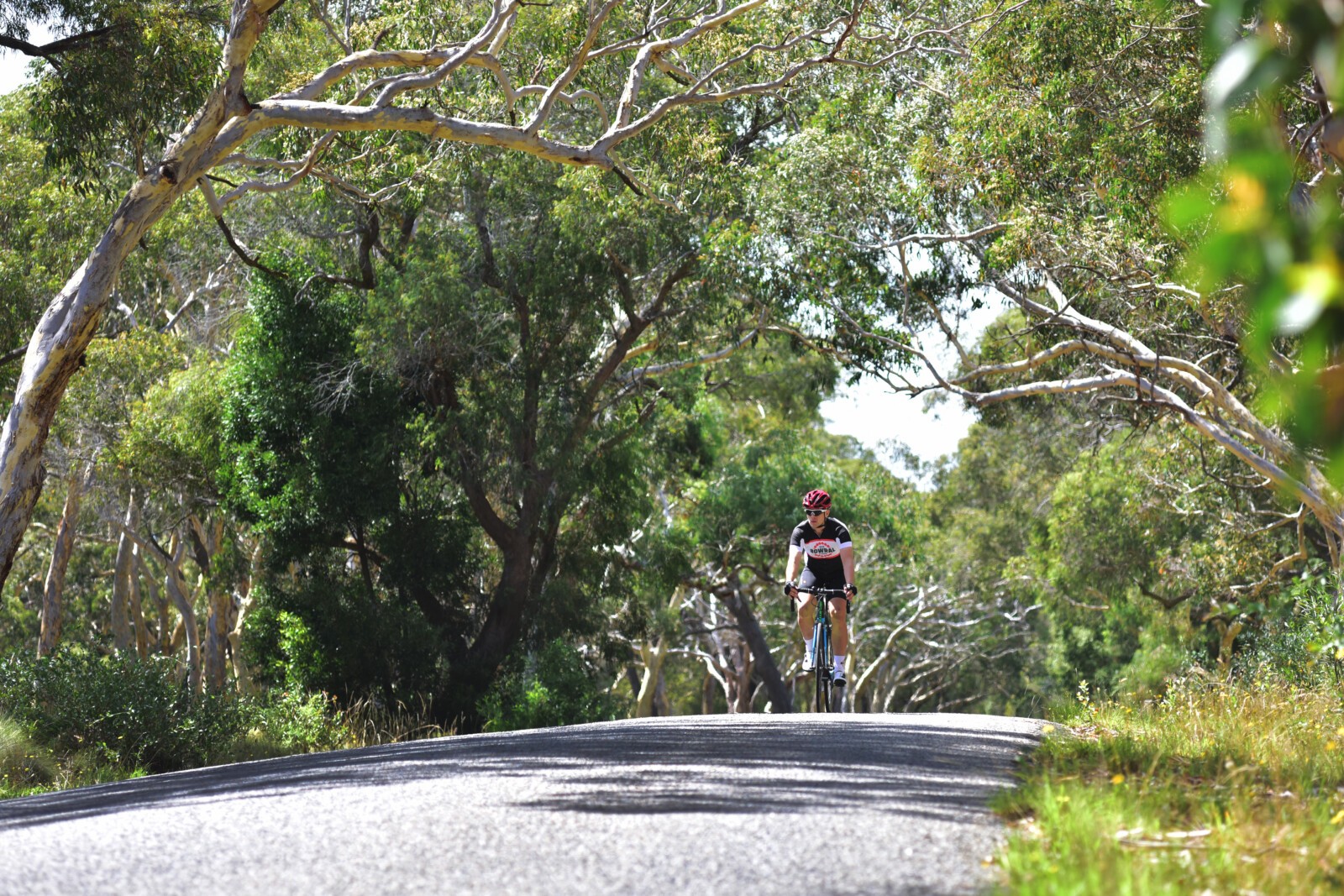Lots going on here! Zerts, discs, wires. Specialised brings it all together cleanly.