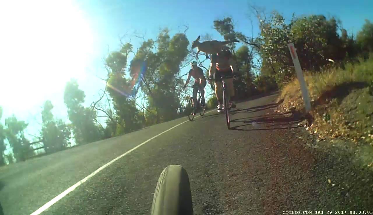 Orica-Scott climbing sensation Esteban Chaves will be hoping for a podium position at this year's Jayco Herald Sun Tour. Image: Sirotti.
