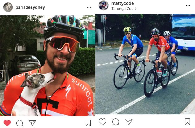 Paris De Sydney, the world's cutest whippet has a lick with fame as Peter Sagan rides Sydney roads with Michael Rogers and Anthony Griffin.