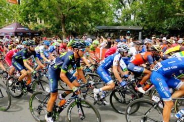 11 WorldTour teams will be involved in the new series with more teams  announced soon. Image Nat Bromhead.