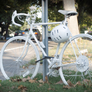 Movistar celebrates.Image: Sirotti.