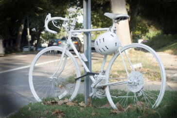 Movistar celebrates.Image: Sirotti.