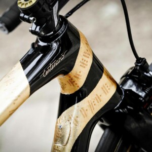 More than 3000 riders participated in the 2016 Bowral Classic and collectively raised over $100,000 for various charities via the ‘choose your charity’ program. Image: Beardy McBeard.