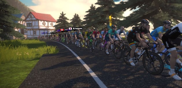 A big bunch enjoying the Aussie Hump Day Ride on Zwift.