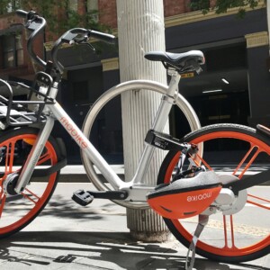 The front page Sydney Morning Herald report of 33yo cyclist Dr Ann Formaz-Preston's tragic death.