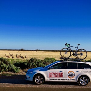 Emus alongside the highway between Mildura and Adelaide during the Clare Classic road trip from Sydney to Adelaide.