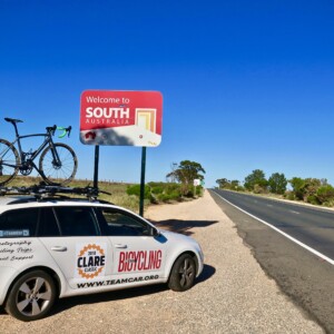 Emus alongside the highway between Mildura and Adelaide during the Clare Classic road trip from Sydney to Adelaide.