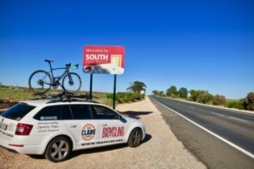 Emus alongside the highway between Mildura and Adelaide during the Clare Classic road trip from Sydney to Adelaide.