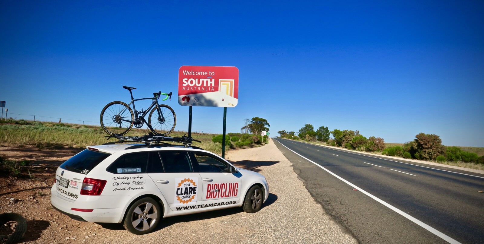 Emus alongside the highway between Mildura and Adelaide during the Clare Classic road trip from Sydney to Adelaide.