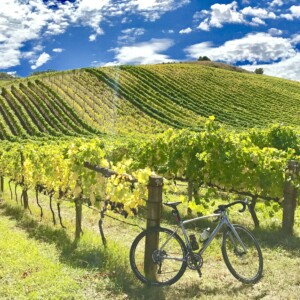 Some of the Clare Classic event ambassadors take a break during a ride of the stunning Clare Valley course.