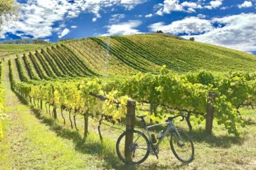 Some of the Clare Classic event ambassadors take a break during a ride of the stunning Clare Valley course.