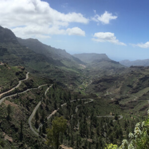 43B48855-C701-4099-B50A-7175FAC5CAA3