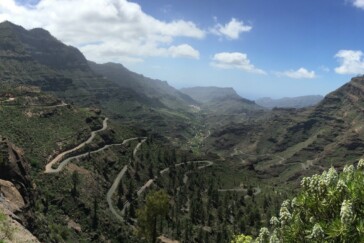 43B48855-C701-4099-B50A-7175FAC5CAA3