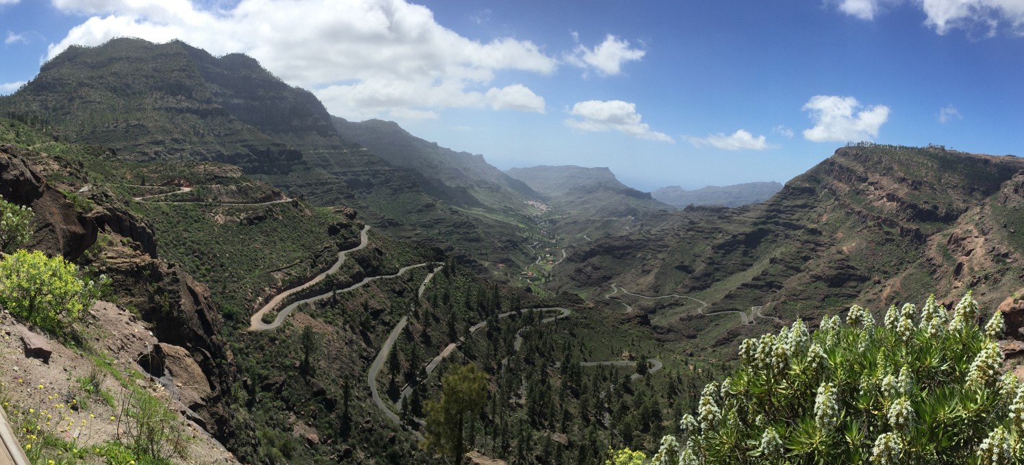 43B48855-C701-4099-B50A-7175FAC5CAA3