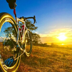 Donna Sorenson, Through the looking glass (2017 Entrant - Photo of the Year).