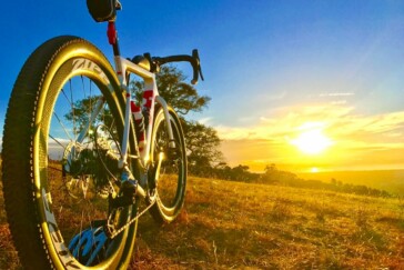 Donna Sorenson, Through the looking glass (2017 Entrant - Photo of the Year).