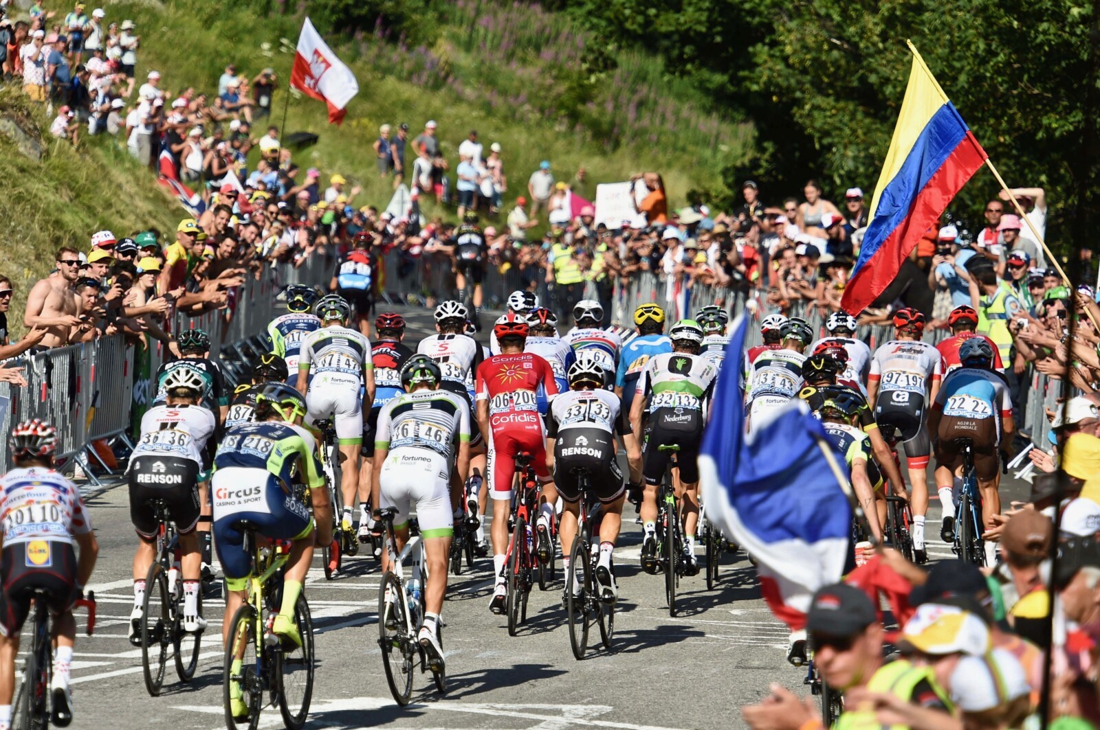Crowd favourite Dan Martin of UAE Emirates makes his way up Alp d'Huez. Image: Sirotti.