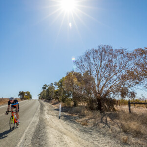 Gleaming rotors,chain and dropouts add some boutique bling to your ride.