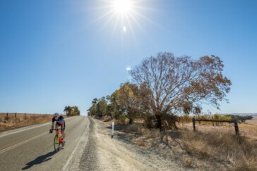 Gleaming rotors,chain and dropouts add some boutique bling to your ride.