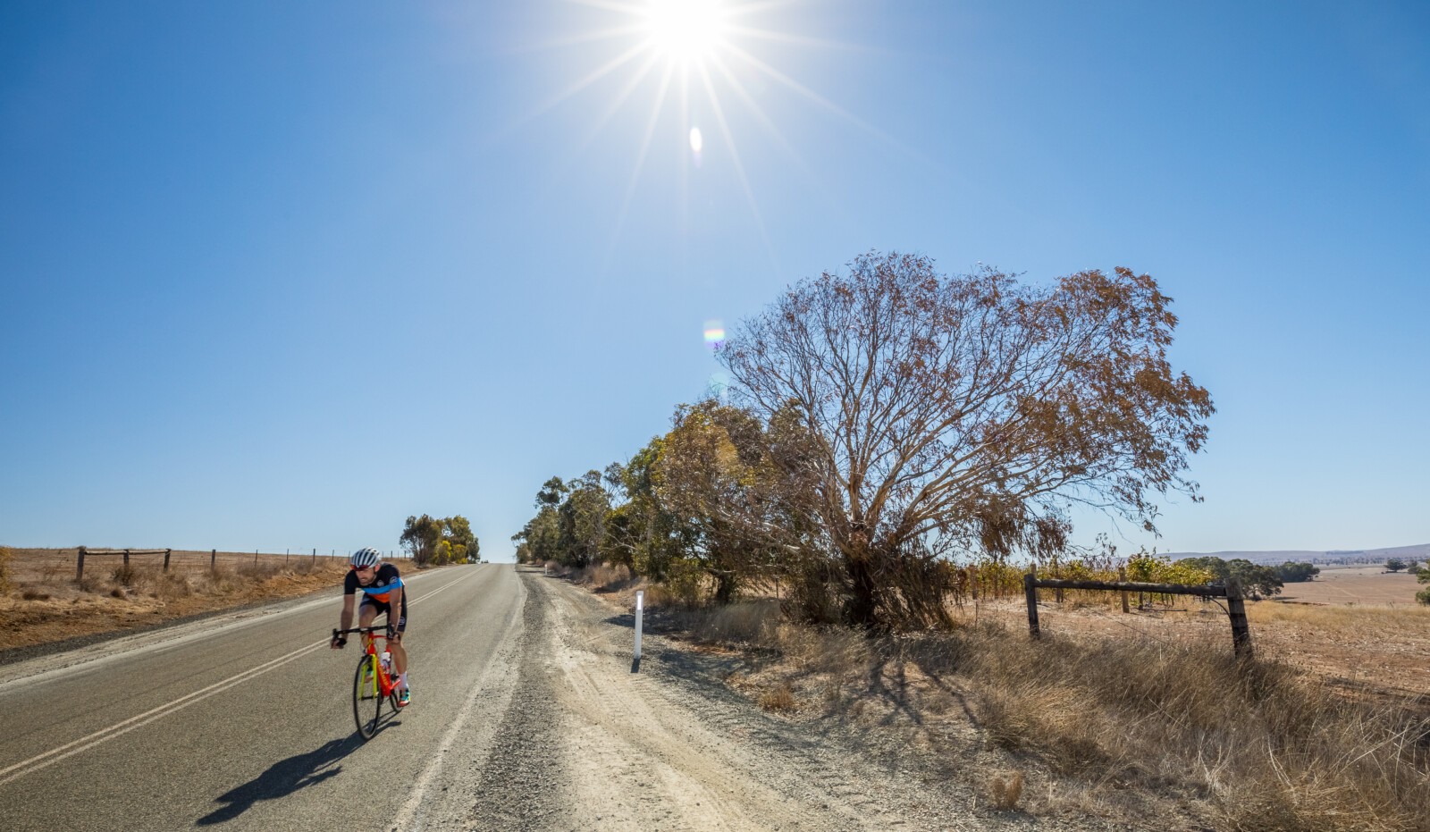 Gleaming rotors,chain and dropouts add some boutique bling to your ride.