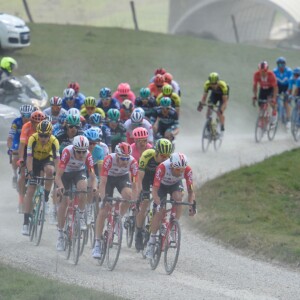 Gleaming rotors,chain and dropouts add some boutique bling to your ride.