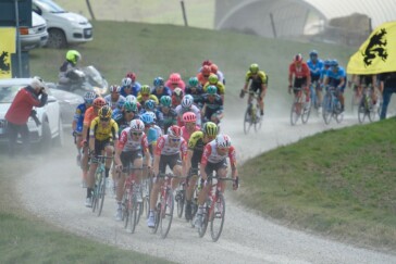 Gleaming rotors,chain and dropouts add some boutique bling to your ride.