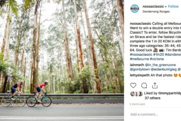 Gleaming rotors,chain and dropouts add some boutique bling to your ride.