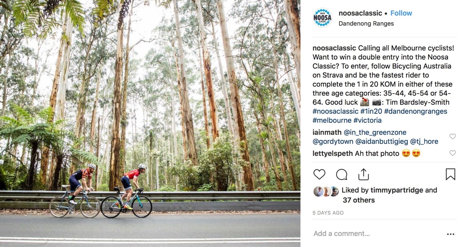 Gleaming rotors,chain and dropouts add some boutique bling to your ride.